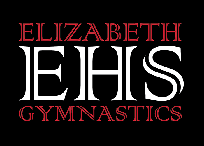 EHS 2014 logo